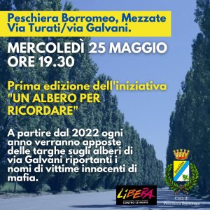 Un albero per ricordare
